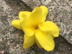 -苏州河梦清园环保主题公园