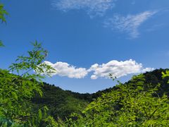 -老象峰