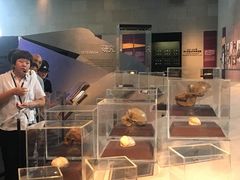 -北京周口店北京人遗址博物馆