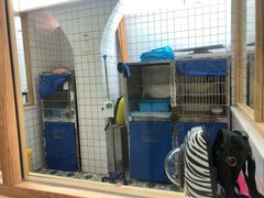 -可蒙动物医院·猫科·骨科中心(首义路店)