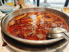 -蜀今朝美蛙鱼头火锅(筠连店)