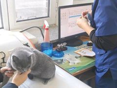 -派美特宠物医院·核磁CT·骨科肿瘤·疑难转诊(沈农禾丰店)