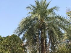 -南昌动物园