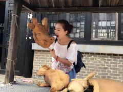 -清风小镇闯关东影视基地