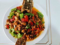 -煲来饱去冷水鱼