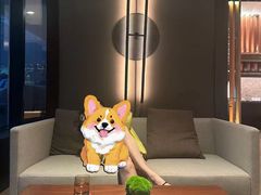 -璞瑄酒店大堂吧