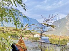 -阿坝州汶川特别旅游区
