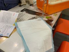 -伟伟宠物医院·CT影像中心·瑞派犬猫综合性门诊(汉口总院)