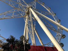 -墨尔本之星 观景摩天轮