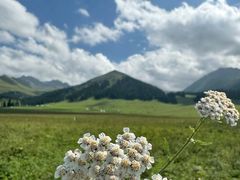 -新疆那拉提国家旅游度假区
