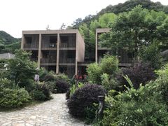 -看见远方·莫干遥远的山民宿