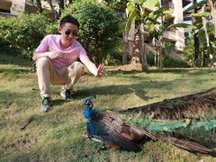 -西双版纳融创皇冠假日度假酒店