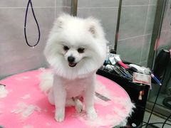 -宠福鑫康馨动物医院·骨科·眼科