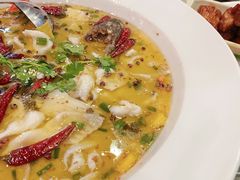 -花溪雨·森林餐厅(石基店)