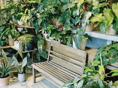 -自由生长植物工作室(深港花卉中心店)