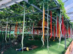 -兰陵国家农业公园