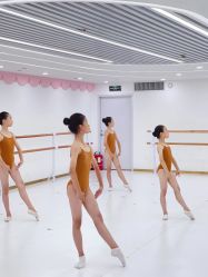 -昕艺尚皇家芭蕾舞蹈中心