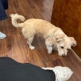 在合肥最像上海的小资情调店