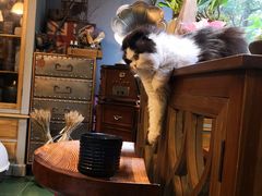 -花到家(富贵鸟花艺行)