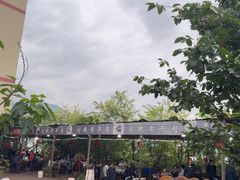 -刘艳黄牛肉(九襄店)