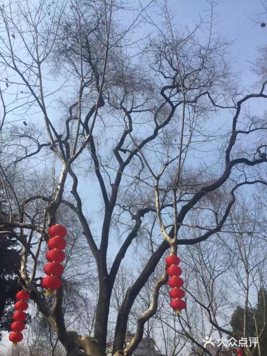 听松楼·花园酒店·自助餐厅(红梅公园店)图片