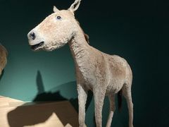-中国湿地博物馆