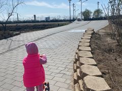 -大兴滨河森林公园