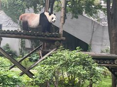 -柳州市动物园