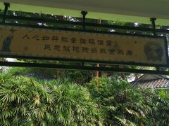 -晓港公园