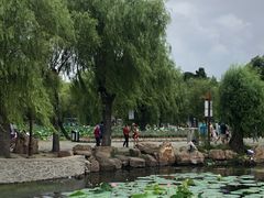 -长春市南湖公园