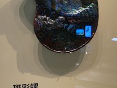 -湖南省地质博物馆