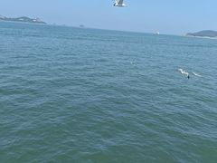 -刘公岛景区