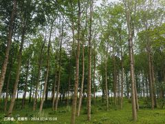 -渤公岛生态公园