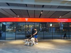 -Wolfgang’s Steakhouse 沃夫冈牛排馆(上海白玉兰广场店)