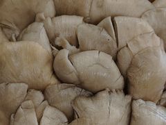 -草原传奇鲜羊火锅(桥北店)