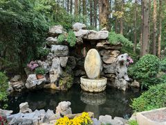-上海醉白池公园