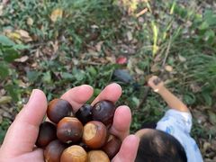 -上海佘山国家森林公园天马山园