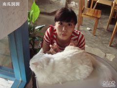 -Babycat私家御饼屋(龙头路一店)