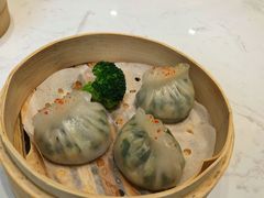 -丁老爷子苏香圆