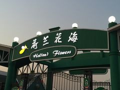 -荷兰花海