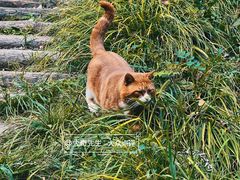 -大连植物园