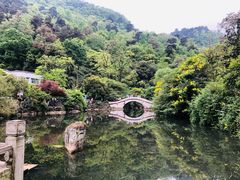 -黔灵山公园