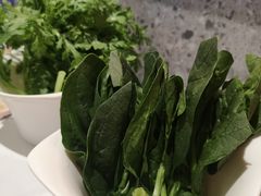 -牛焱·贵州黄牛肉火锅(城西银泰店)