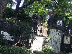 -白沙古井