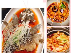 -映水芙蓉(上海万象城店)