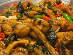 -淘蛙(广州星寰国际商业中心店)