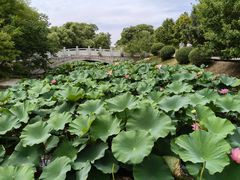 -长春世界雕塑园冰雪艺术天地
