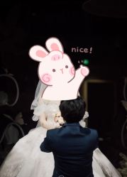 -Limerence 司仪·四大婚礼工作室