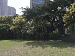 -中国福利会少年宫