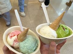 -极拉图·现制冰淇淋(大卫城店)